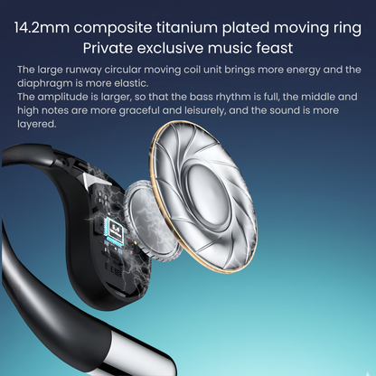 3 In 1 AI Translator Earbuds