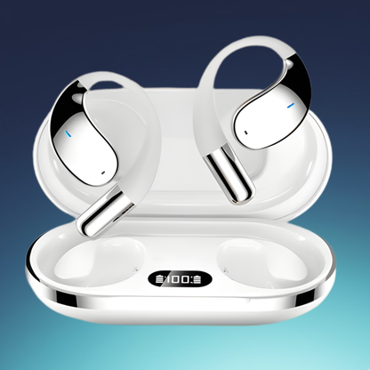 3 In 1 AI Translator Earbuds